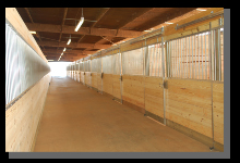 horse stalls